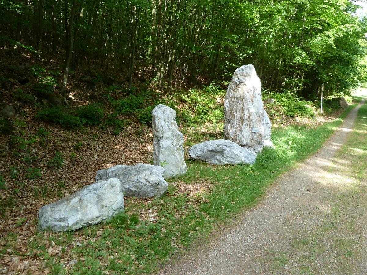 Pension Ferienwohnungen Frey Tännesberg Buitenkant foto